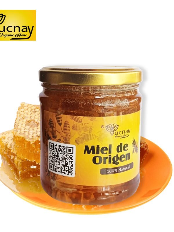 Pochari13
